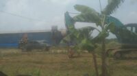 Diduga PTPN VIII Cisalak Baru Serobot Dan Rusak Tanah Milik Warga