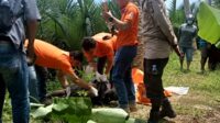 Penemuan Mayat di Patia Teridentifikasi, Polres Pandeglang Serahkan Kepada Keluarga Korban