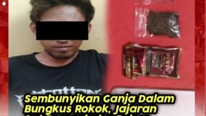 Sembunyikan Ganja dalam Bungkus Rokok, Sat Resnarkoba Polres Lebak Amankan Pelaku dan Barang Bukti