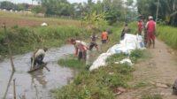 Dua Kades di Kecamatan Kresek Meminta Dinas Pertanian Kabupaten Tangerang Turun Ke Lapangan