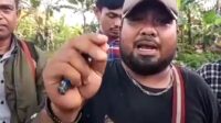 Hadapi Wartawan,Satpam Perusahaan PT.Panasia Gunakan Anjing Buldog