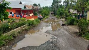 Peningkatan Jalan Dari PUPR Tanggamus Anggaran 2021 Sudah Kembali Rusak, Ini Kata Ketua DPD SPI