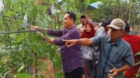 Menggalakan Bidang Pertanian, H. Kristian Anggota DPRD PALI Fraksi PDIP Kunjungi Kebun KWT Mekar Sari