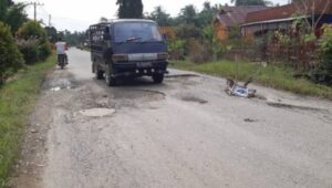 Warga Seruway Minta Perbaiki Lubang di Jalan Lintas Kecamatan