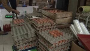 Harga Telur Ayam di Bekasi Melonjak Tinggi Jelang Nataru, Cemaskan Pedagang Kecil