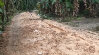 Pengerasan Jalan Dinas PUPR Aceh Tamiang Diguyur Hujan Mirip Lumpur Sawah