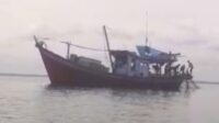 Lapor Pak Kapolda Aceh, Pukat Harimau Merak di Perairan Laut Aceh Timur, Nelayan Kecil Sudah Resah, Mohon Segera Ditindak