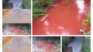 Sungai Kab Bekasi Tercemar Limbah, Kawali Dan RJN Bekasi Raya Minta KLHK RI SIDAK Perusahaan Nakal