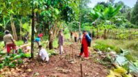 Warga Terbaya Kecamatan Kota Agung Pusat Bergotong-royong Buka Akses Badan Jalan