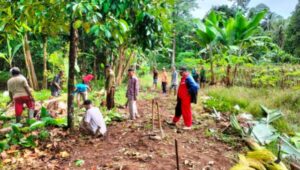 Warga Terbaya Kecamatan Kota Agung Pusat Bergotong-royong Buka Akses Badan Jalan