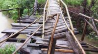 Jembatan Ambruk Belum Di Perbaiki Kades Singasari Minta Perhatian Pemerintah Daerah