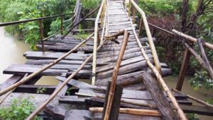 Jembatan Ambruk Belum Di Perbaiki Kades Singasari Minta Perhatian Pemerintah Daerah