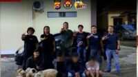 Polres Lebak Tangkap Tiga Pelaku Pencuri 7 Ekor Kambing Di Cirinten