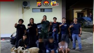 Polres Lebak Tangkap Tiga Pelaku Pencuri 7 Ekor Kambing Di Cirinten