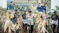 Dukung Program Pemerintah Menjaga Ketahanan Pangan Wakapolres Ciamis Bersama Bupati Melaksanakan Panen Raya Jagung.
