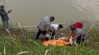 Gerak Cepat, Polsek Rangkasbitung Polres Lebak Datangi TKP Penemuan Mayat di Sungai Ciujung