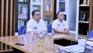 Pj Bupati & Sekda Aceh Tamiang Ikuti Rakor dan Peluncuran Aplikasi APIP