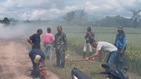 Babinsa Warunggunung Gotong Royong Bareng Warga Bersihkan Rumput Di Bahu Jalan