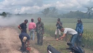 Babinsa Warunggunung Gotong Royong Bareng Warga Bersihkan Rumput Di Bahu Jalan