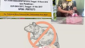 Woow Heboh Dan Virralnya Pemberitaan, Seorang Oknum Kepala PKBM Darul Ilmi Wadda’wah Diduga Selewengkan Anggaran BOP
