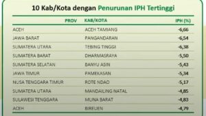 Penurunan IPH Tertinggi, Mendagri Sampaikan Apresiasi Tertinggi Kepada Aceh Tamiang