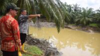 Pj Bupati Meurah Tinjau Sejumlah Titik Tanggul yang Jebol