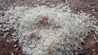 MUNCULNYA TENGKULAK BERAS 10 KG BANTUAN DARI BANSOS 2023.