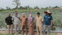 Sekda Sebut Manfaatkan Pekarangan Untuk Tanaman Hortikultura Upaya Ketahanan pangan dan pengendalian inflasi