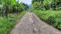 Infrastruktur Di Cukuh Balak Rusak Parah, Masyarakat Minta Pemkab Tanggamus Untuk Memperbaikinya