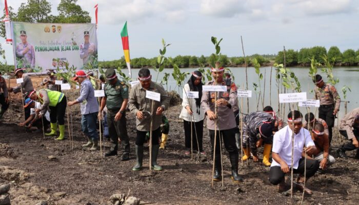 Mewakili Pj Bupati Meurah, Sekda Ikut Tanam Mangrove untuk Lestarikan Lingkungan