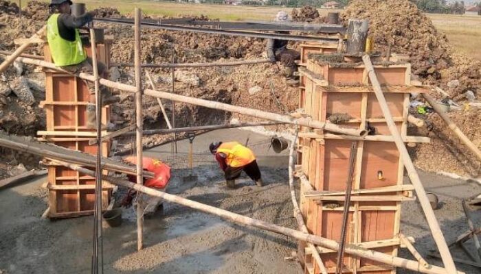 Camat Mekar Baru Berjanji Beri Surat Peringatan Terkait Pembangunan Tower BTS, Barisan Aktivis : “Kami Menunggu”