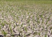 Dampak El Nino: Wilayah Kabupaten Tangerang Terancam Kekurangan Air Bersih