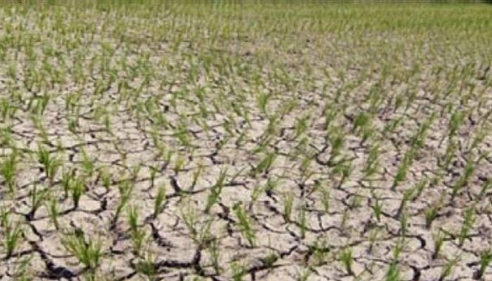 Dampak El Nino: Wilayah Kabupaten Tangerang Terancam Kekurangan Air Bersih