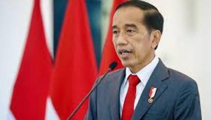 Perlindungan UMKM dan Perekonomian: Pemerintah Atur E-commerce di Media Sosial