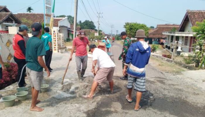 Di Duga Tak Tersentuh Pemkab, Pemerintah Pekon Kedamaian Bersama Masyarakat Bergerak, Perbaiki Jalan Berlubang