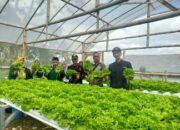 Kades Sumberjaya Tampil di Panen Raya Untuk Meningkatkan Tarap Ekonomi Petani.
