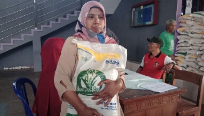 Bansos Beras Medium Bulog Tepat Hadir Di Sela-Sela Lahan Pertanian Sedang Kekeringan