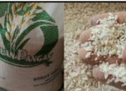 Beras Medium Dinilai Buruk Membuat Stunting Akan  Tumbuh Lagi,Diduga Bulog Tertawa Mencari Keuntungan Sepihak.
