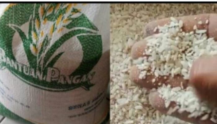 Beras Medium Dinilai Buruk Membuat Stunting Akan  Tumbuh Lagi,Diduga Bulog Tertawa Mencari Keuntungan Sepihak.