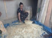 Banyaknya Pabrik Pikca(Keripik Kaca)Yang Tumbuh Pesat Di Desa Wanasigra.