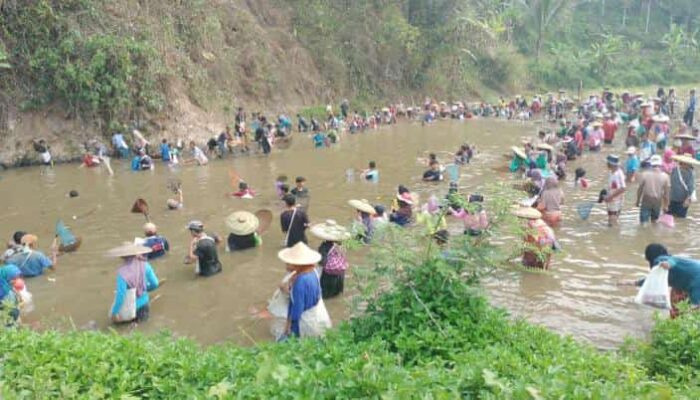 P2LPB Minta APH Tangkap Pelaku Penebar Racun Di Kali Cisimeut
