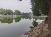 Balong Ranca Indah Rangkasbitung Luput Dari Pemeliharaan,Ini Kata Kadis Dan Kabid DLHK Lebak
