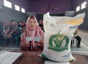 Beras Medium Tahap II Layak Dikomsumsi