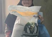 Bansos Beras Medium 10Kg Warga Gunungcupu Merasa Terbantu di Saat Pesawahan Kekeringan