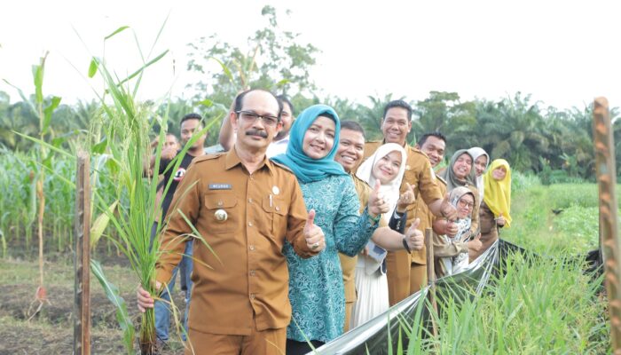 Perkuat Ketahanan Pangan & Cegah Inflasi, Pj Bupati Meurah Tinjau Areal Pertanian Warga