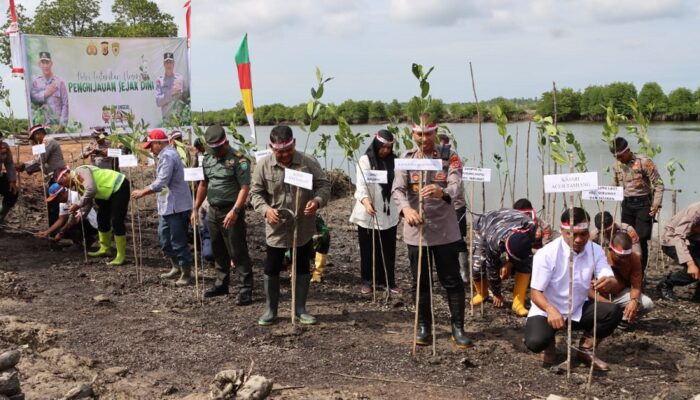 Untuk Lestarikan Lingkungan, Pemkab Aceh Tamiang Ikut Tanam Mangrove