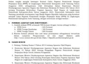 Pemkab Aceh Tamiang Buka 700 Formasi Calon PPPK