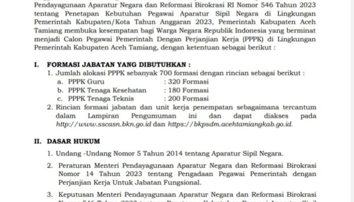 Pemkab Aceh Tamiang Buka 700 Formasi Calon PPPK
