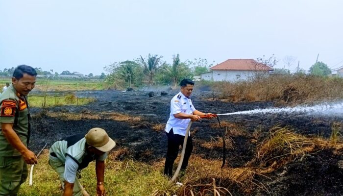 Dengan Sigap Camat Kemiri Langsung Kelokasi Kebakaran Lahan Ilalang Di Desa Klebet