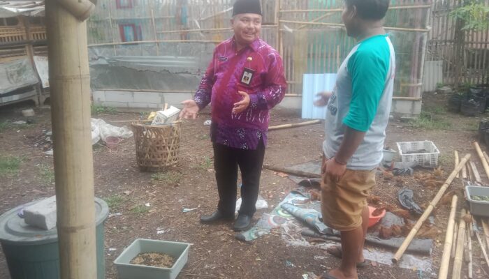 PLT.Camat Kresek Optimistis, Budidaya Maggot Mampu Memberikan Nilai Tambah Masyarakat Kampung Sukasari – Kresek